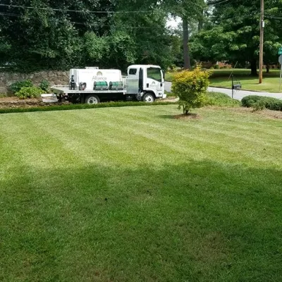lawn treatment