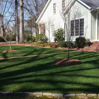 lawn