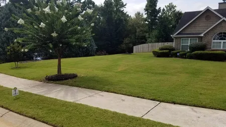 lawn treatment
