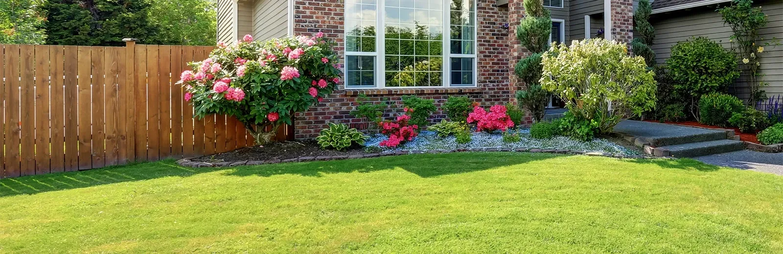lawn