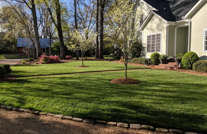 fescue